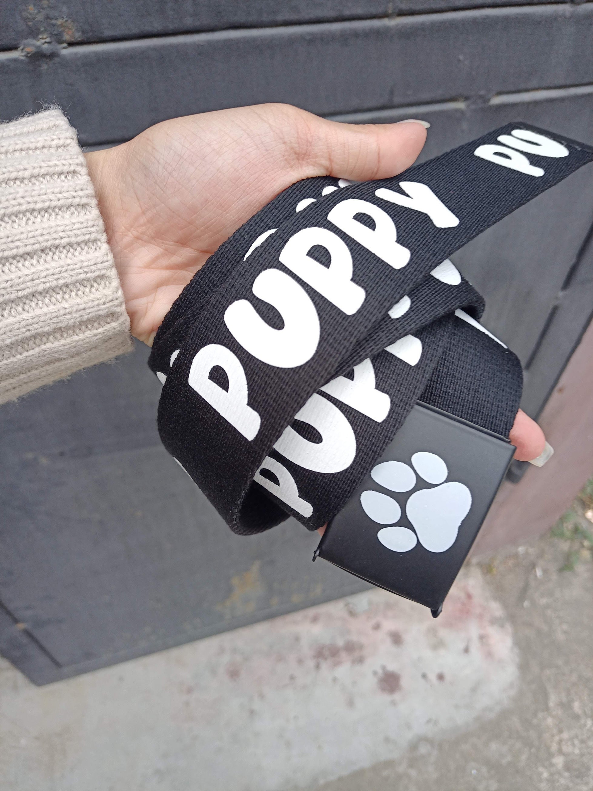 Puppy Belt ZeroRemnants